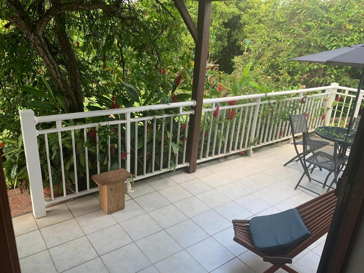 Logement Vacances Gissac Sainte-Anne Kültér fotó